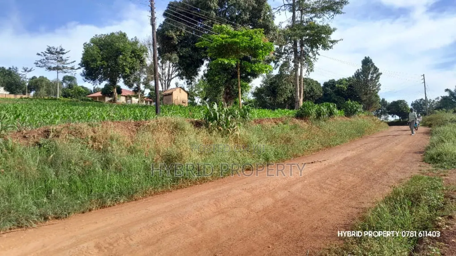 Prime Plots for Sale at Mpigi~Kalagala Hill View Land Estate~Masaka Rd