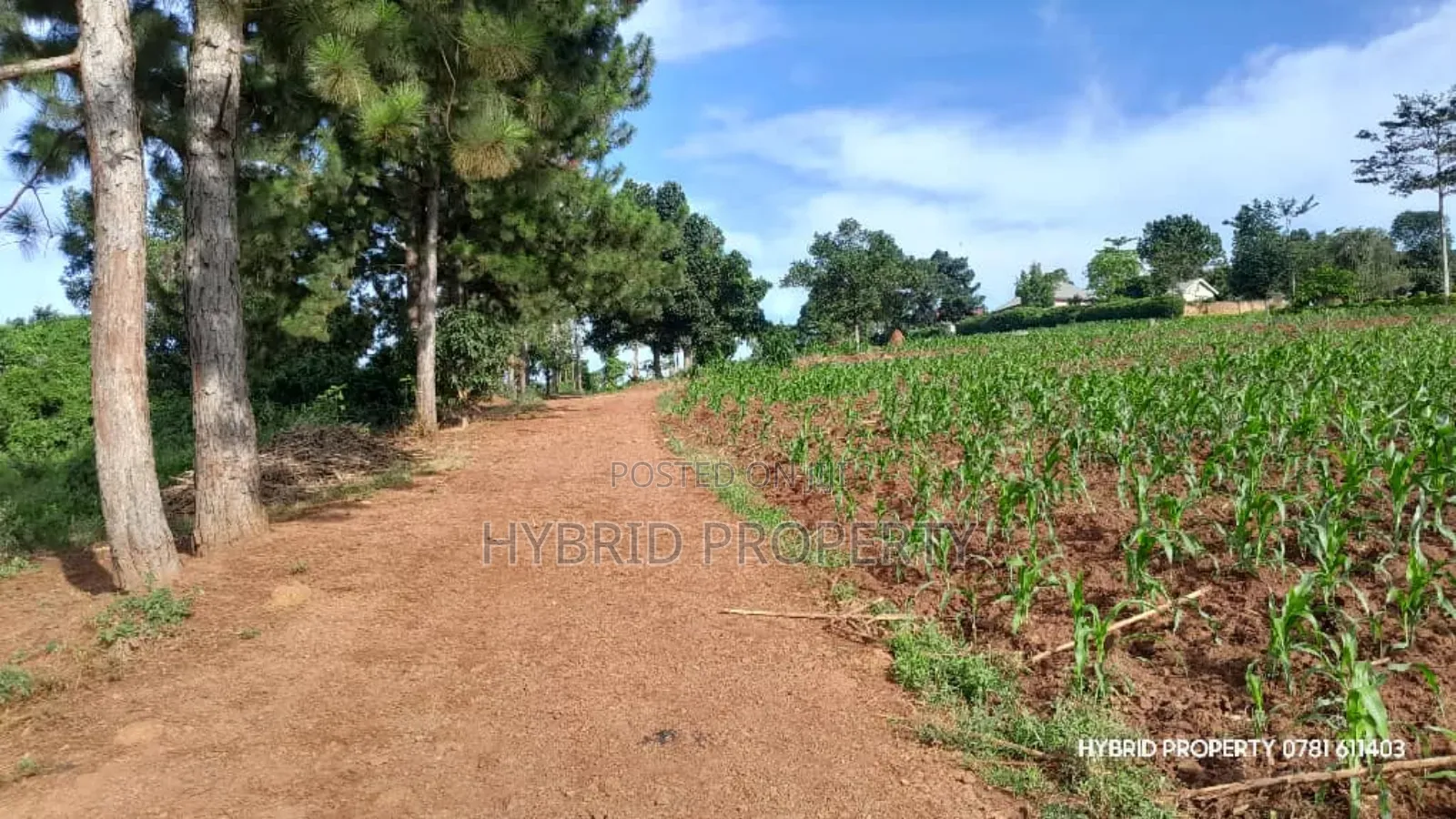 Prime Plots for Sale at Mpigi~Kalagala Hill View Land Estate~Masaka Rd