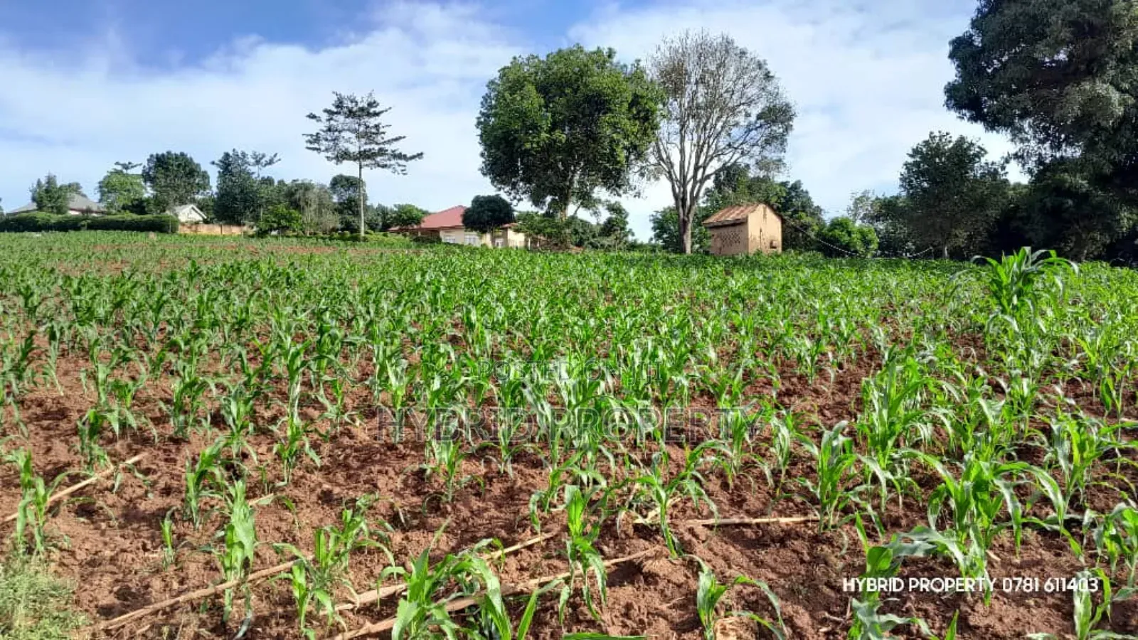 Prime Plots for Sale at Mpigi~Kalagala Hill View Land Estate~Masaka Rd