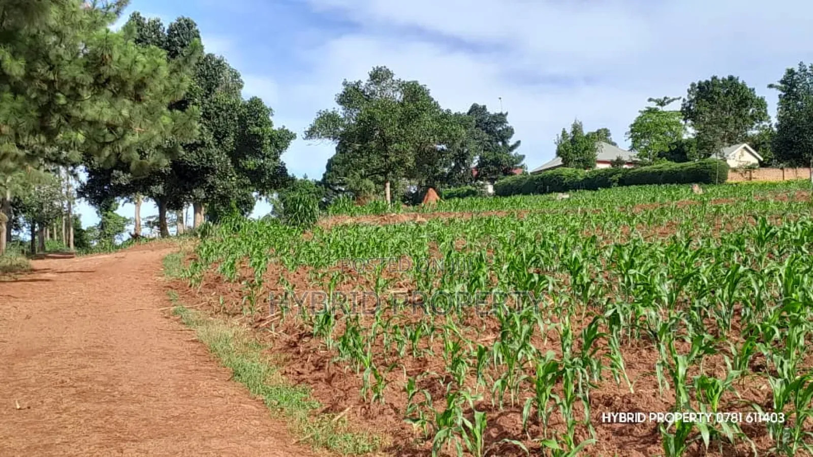 Prime Plots for Sale at Mpigi~Kalagala Hill View Land Estate~Masaka Rd
