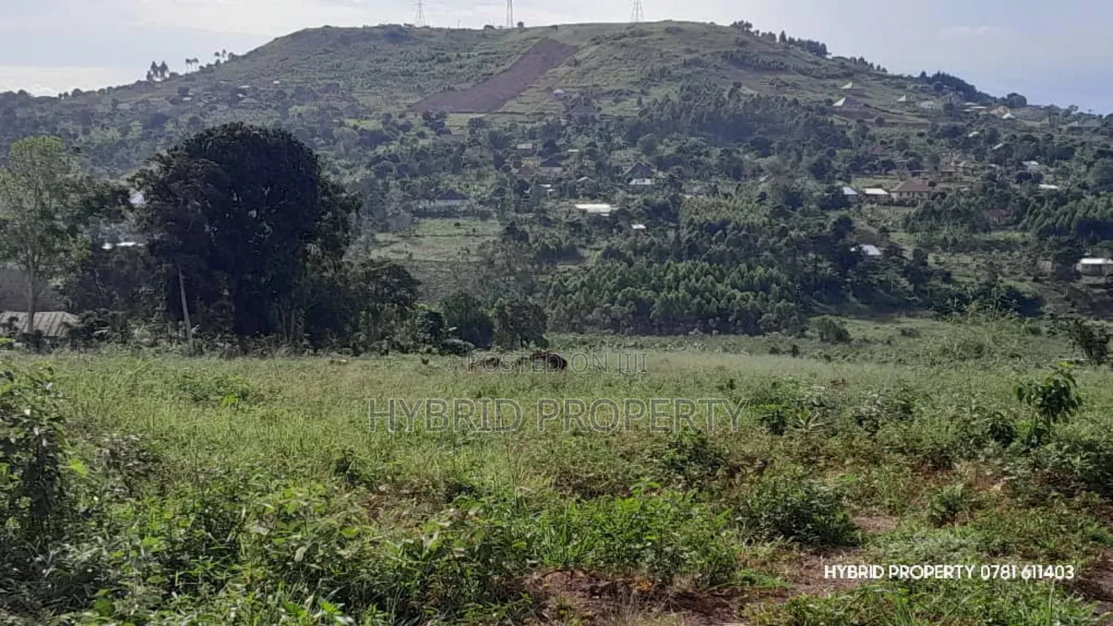 Prime Plots for Sale at Mpigi~Kalagala Hill View Land Estate~Masaka Rd