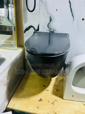 Wall Hung Toilet