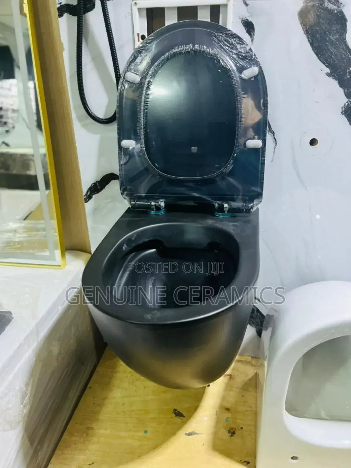 Wall Hung Toilet