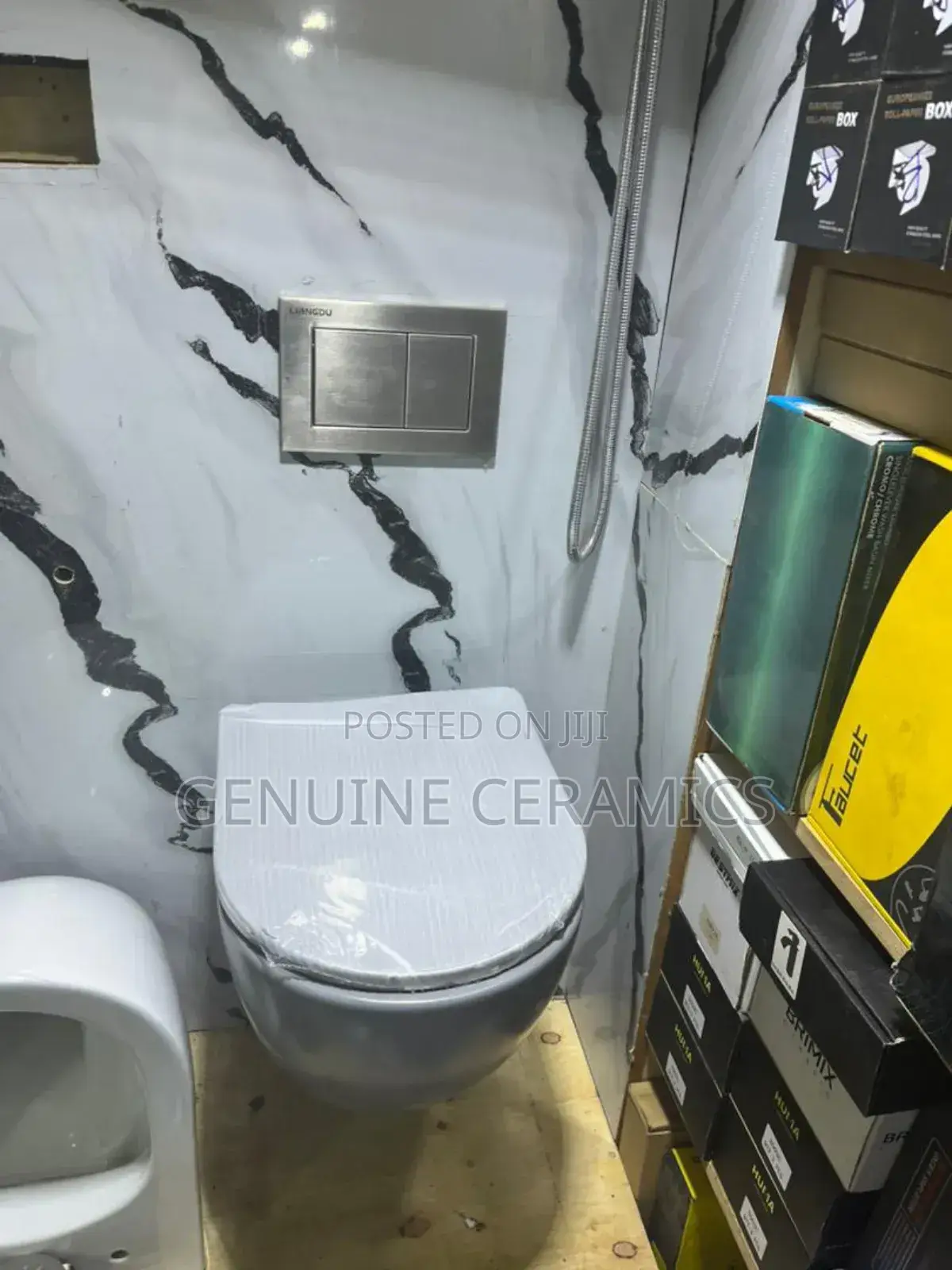 Wall Hung Toilet