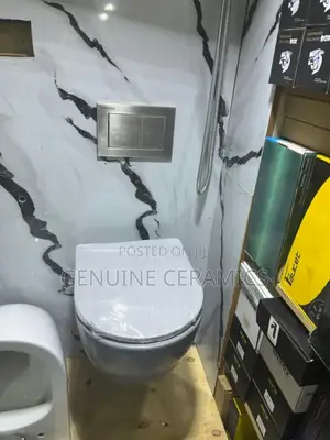 Wall Hung Toilet