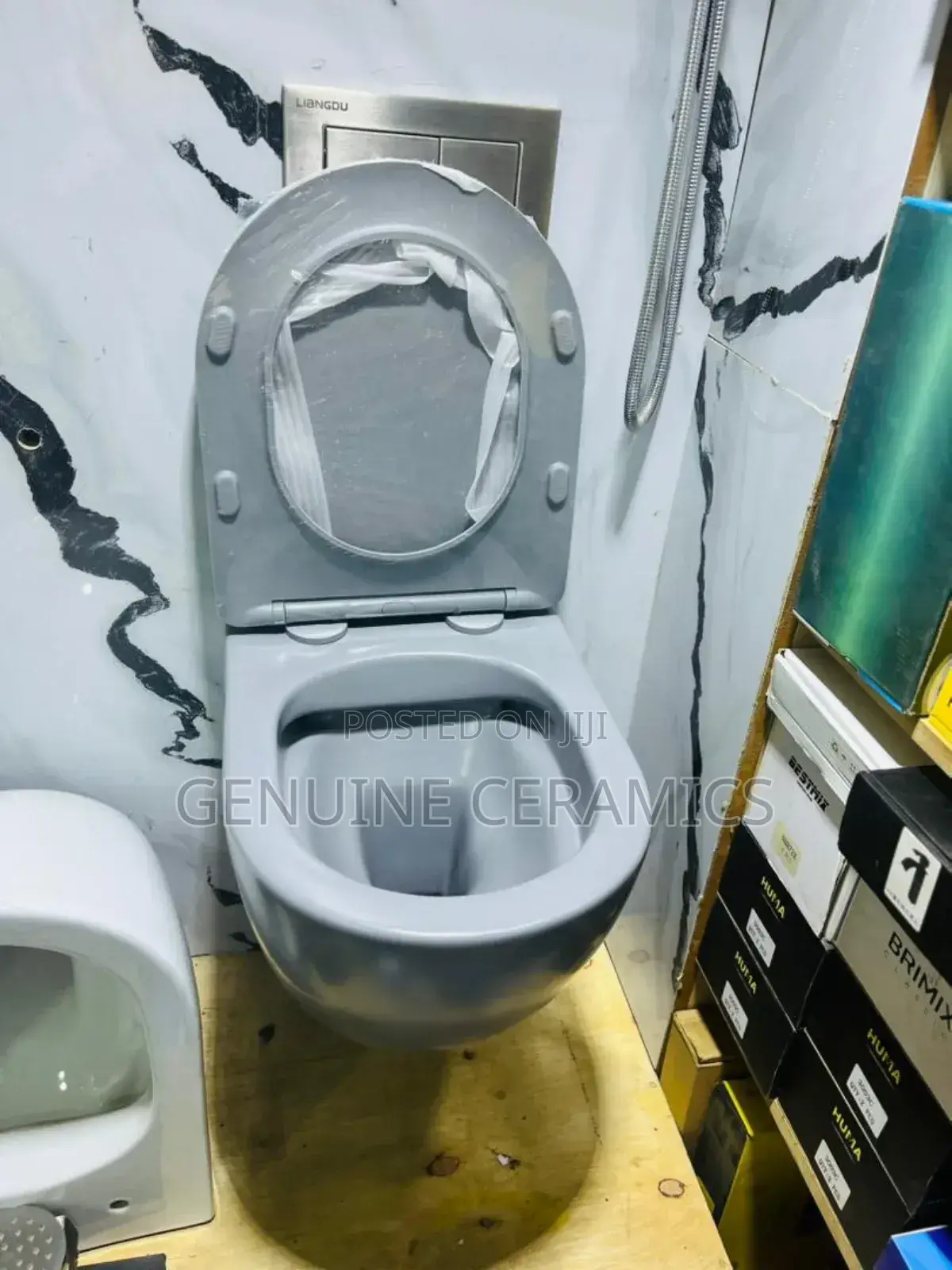 Wall Hung Toilet