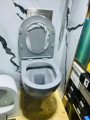 Wall Hung Toilet