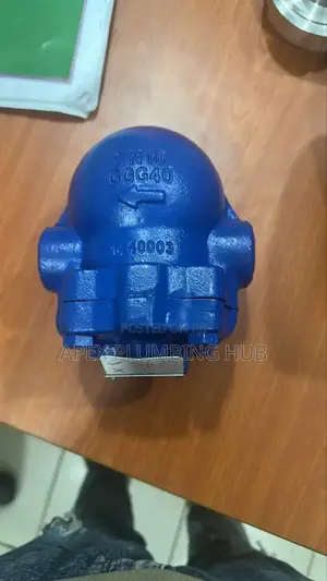Steam Trap Valve