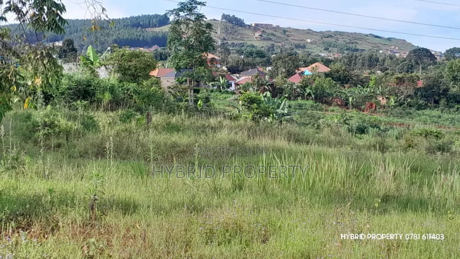 Prime Plots for Sale at Mpigi~Kalagala Bigambo Bitono Estate~Masaka Rd