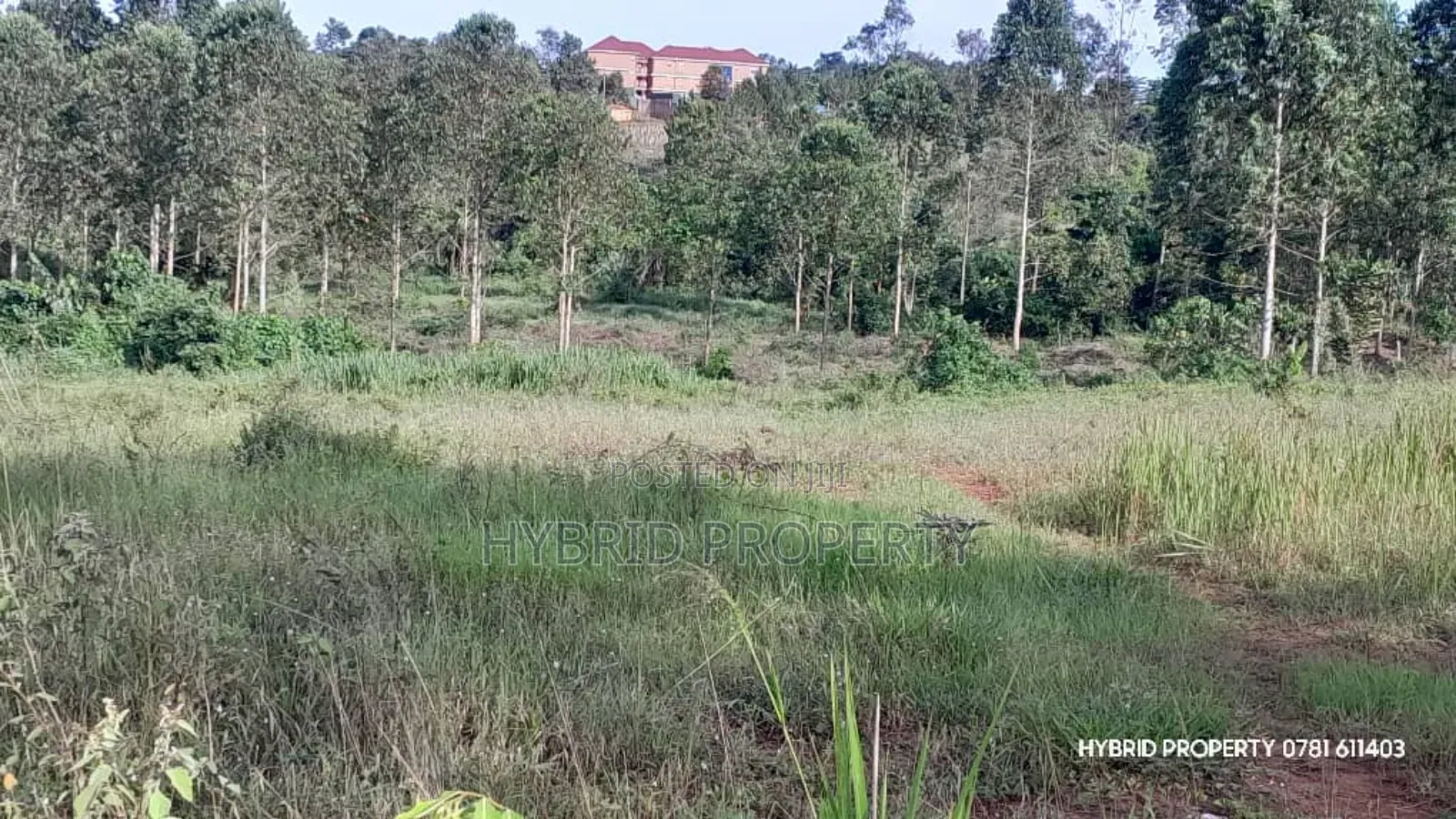 Prime Plots for Sale at Mpigi~Kalagala Bigambo Bitono Estate~Masaka Rd