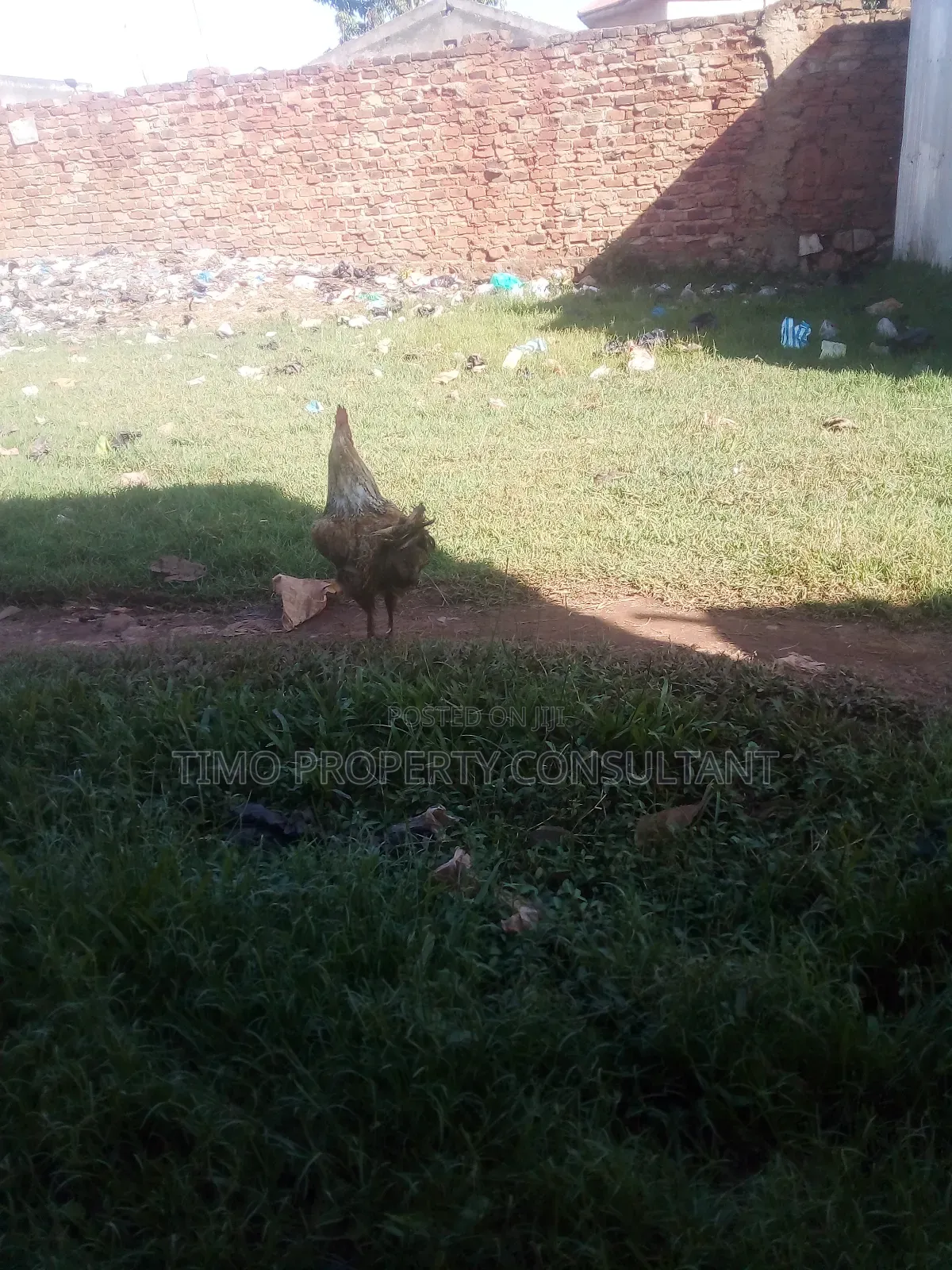Aplot on Sell in Kawuku Entebbe Road