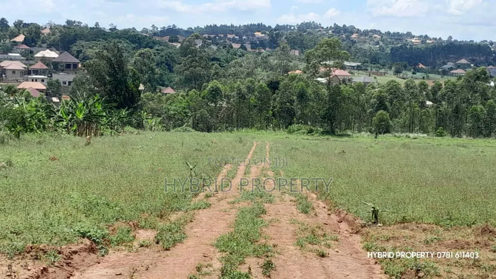 Prime Plots for Sale at Kasengejje~Wakiso Town Divine Estate