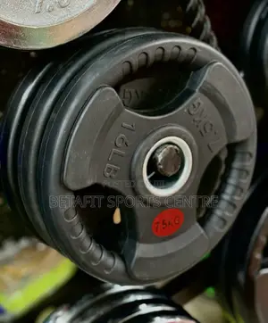 Weight Lifting Plates 7.5 Kg Pair Big Hole