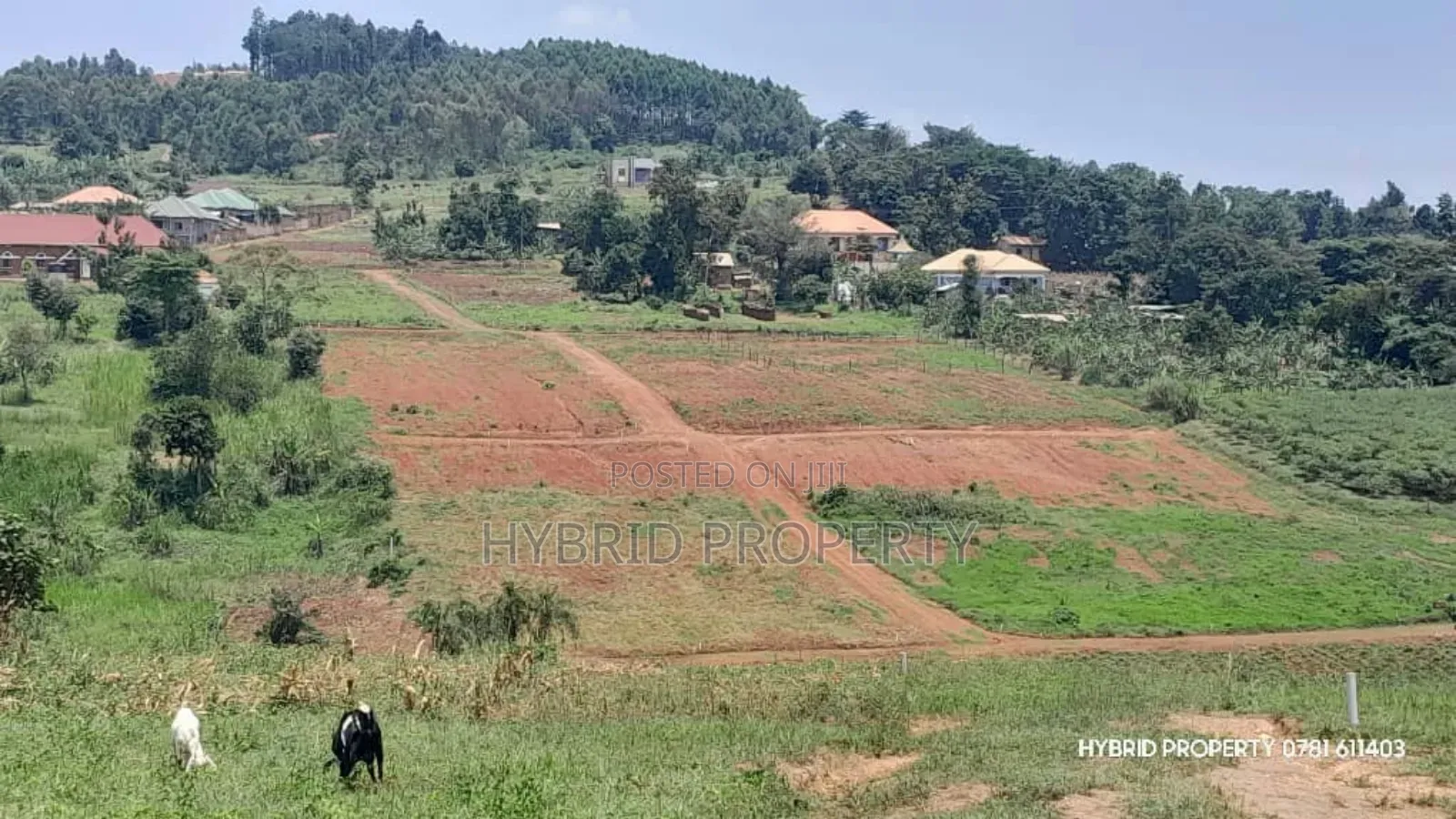 Prime Plots for Sale at Wakiso~Mabombwe Diplomatic Estate~Hoima Road.