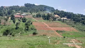 Prime Plots for Sale at Wakiso~Mabombwe Diplomatic Estate~Hoima Road.
