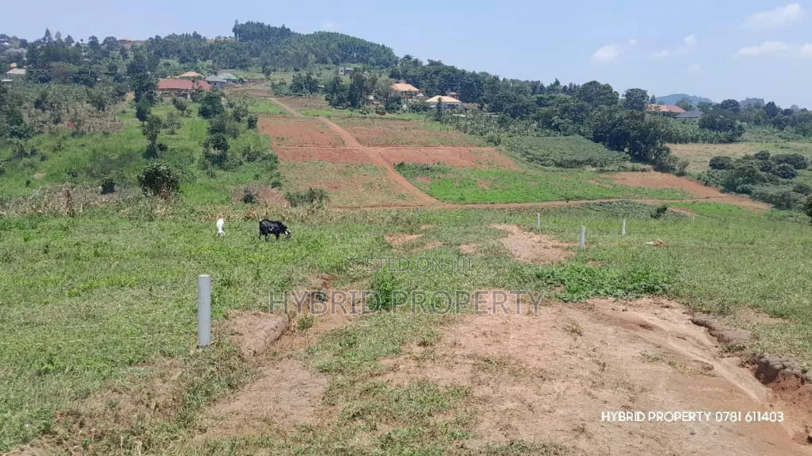 Prime Plots for Sale at Wakiso~Mabombwe Diplomatic Estate~Hoima Road.
