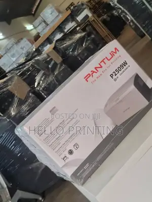 Pantum P2509w Small Business Printer.