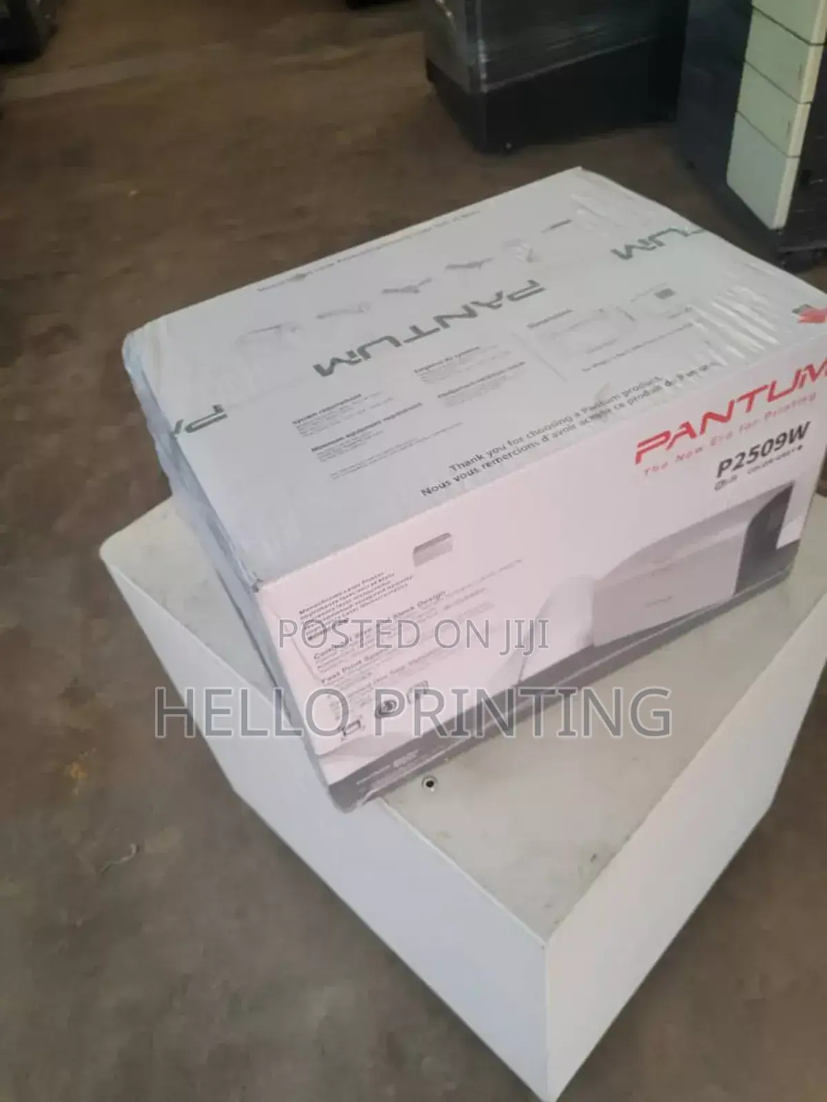 Pantum P2509w Desktop Printer