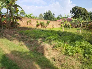 Plot of Sale in Mbale City Kasanvu