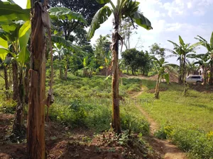 Plot of Sale in Mbale City Kasanvu
