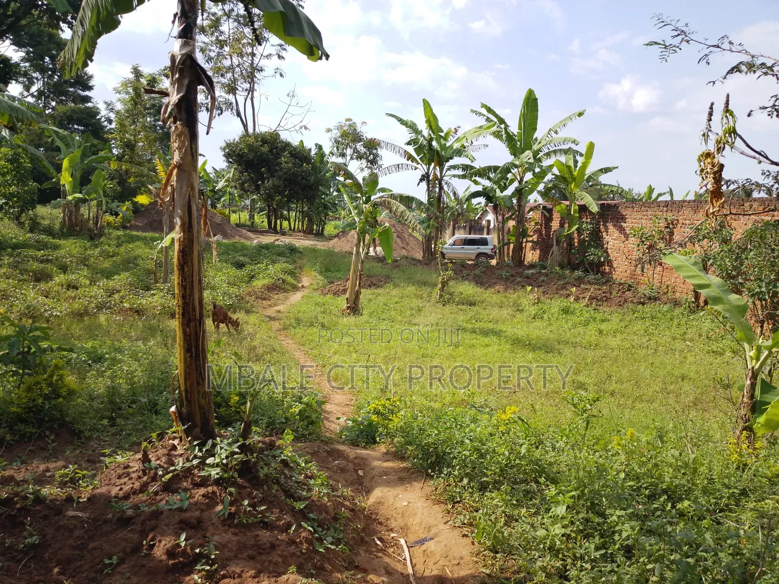 Plot of Sale in Mbale City Kasanvu