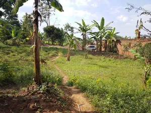 Plot of Sale in Mbale City Kasanvu