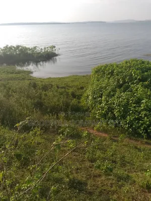20 Acres of Land in Bubwa Buikwe Touching on Shores of Lake Victoria.