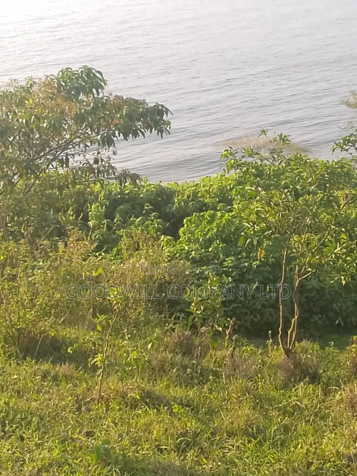 20 Acres of Land in Bubwa Buikwe Touching on Shores of Lake Victoria.