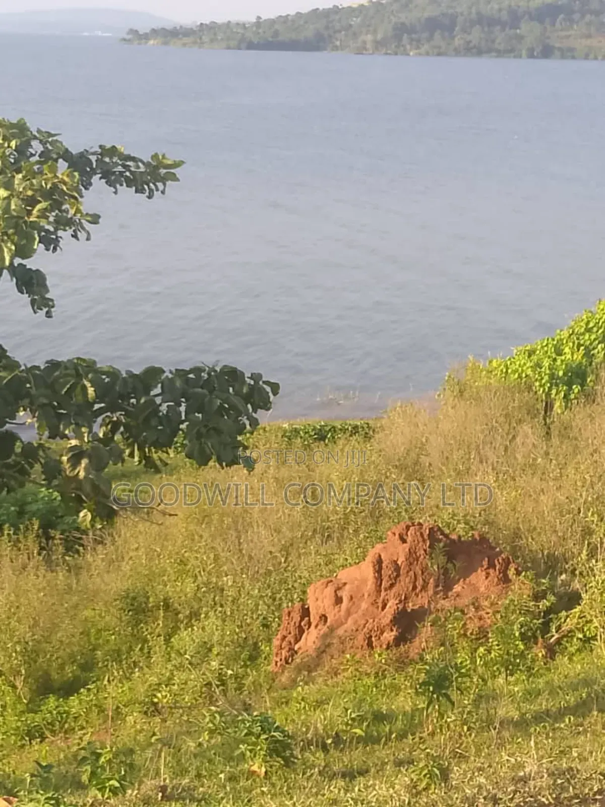 20 Acres of Land in Bubwa Buikwe Touching on Shores of Lake Victoria.