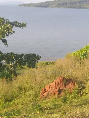 20 Acres of Land in Bubwa Buikwe Touching on Shores of Lake Victoria.