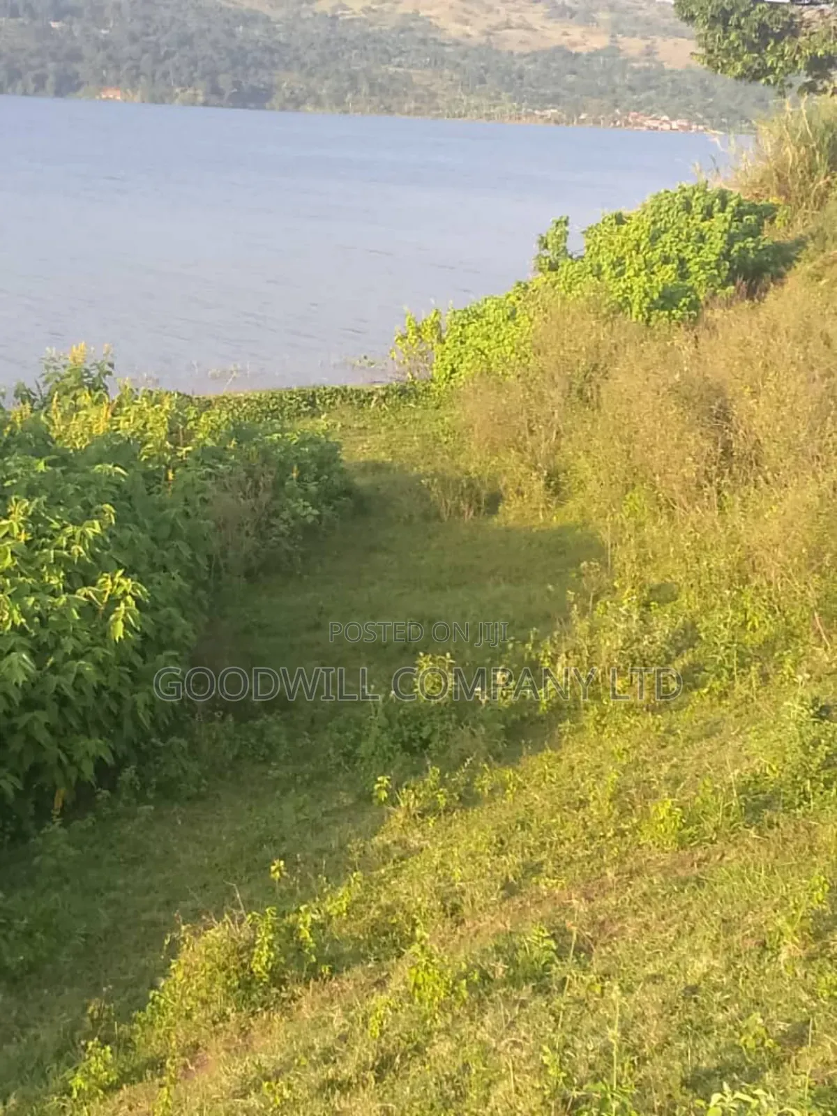 20 Acres of Land in Bubwa Buikwe Touching on Shores of Lake Victoria.