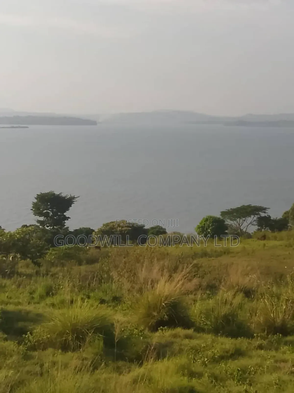 20 Acres of Land in Bubwa Buikwe Touching on Shores of Lake Victoria.
