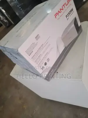 Pantum P2509w Wireless Home Printer