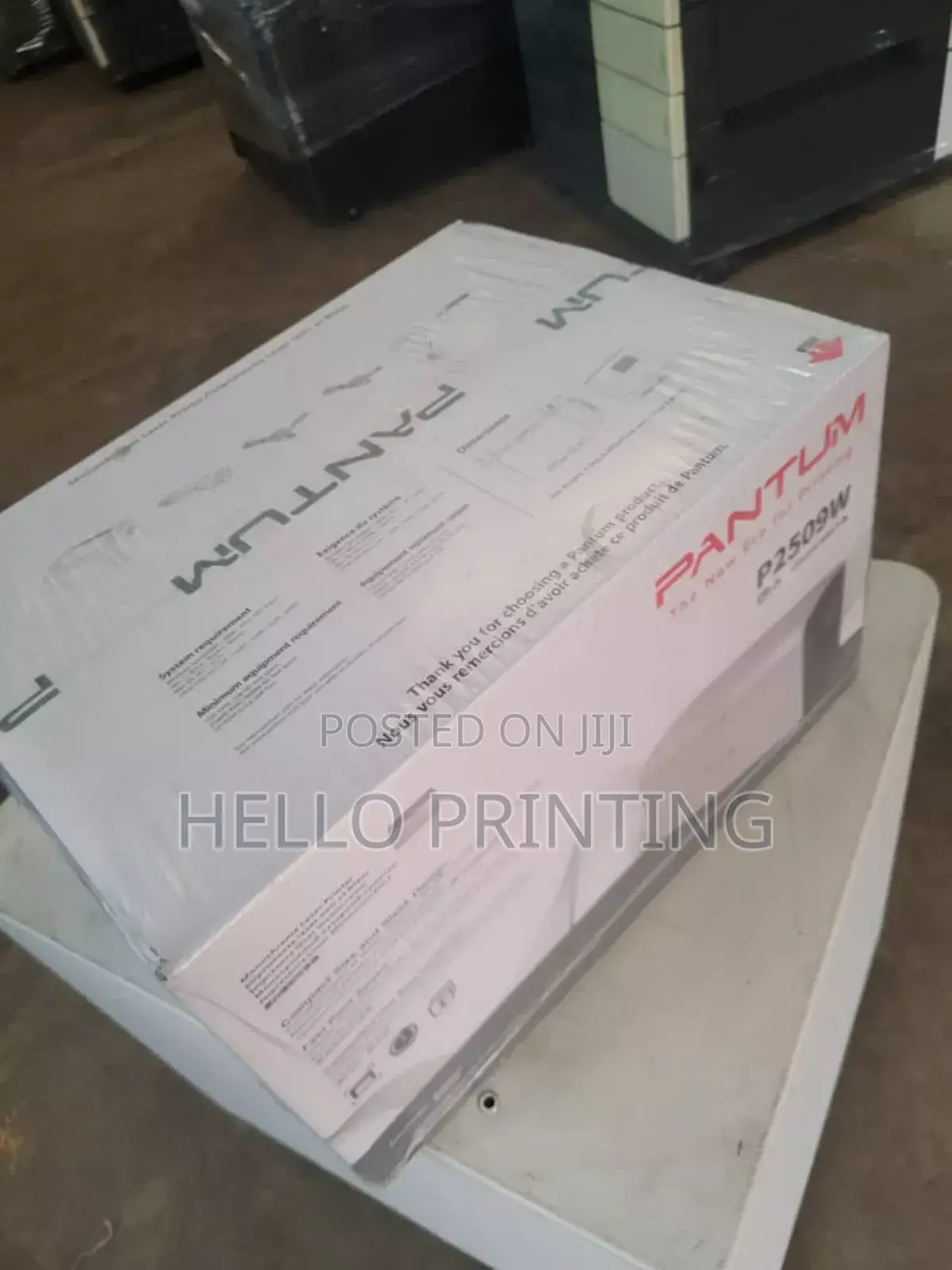 Pantum P2509w Home Office Laser