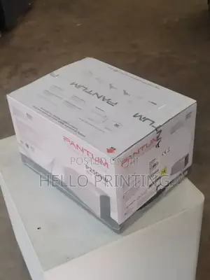 Pantum P2509w Best for Students