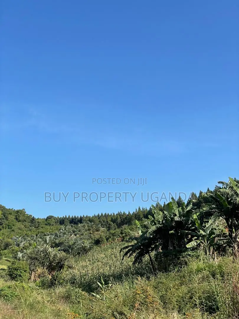Selling 8 Acres Of Land Near Akright Entebbe