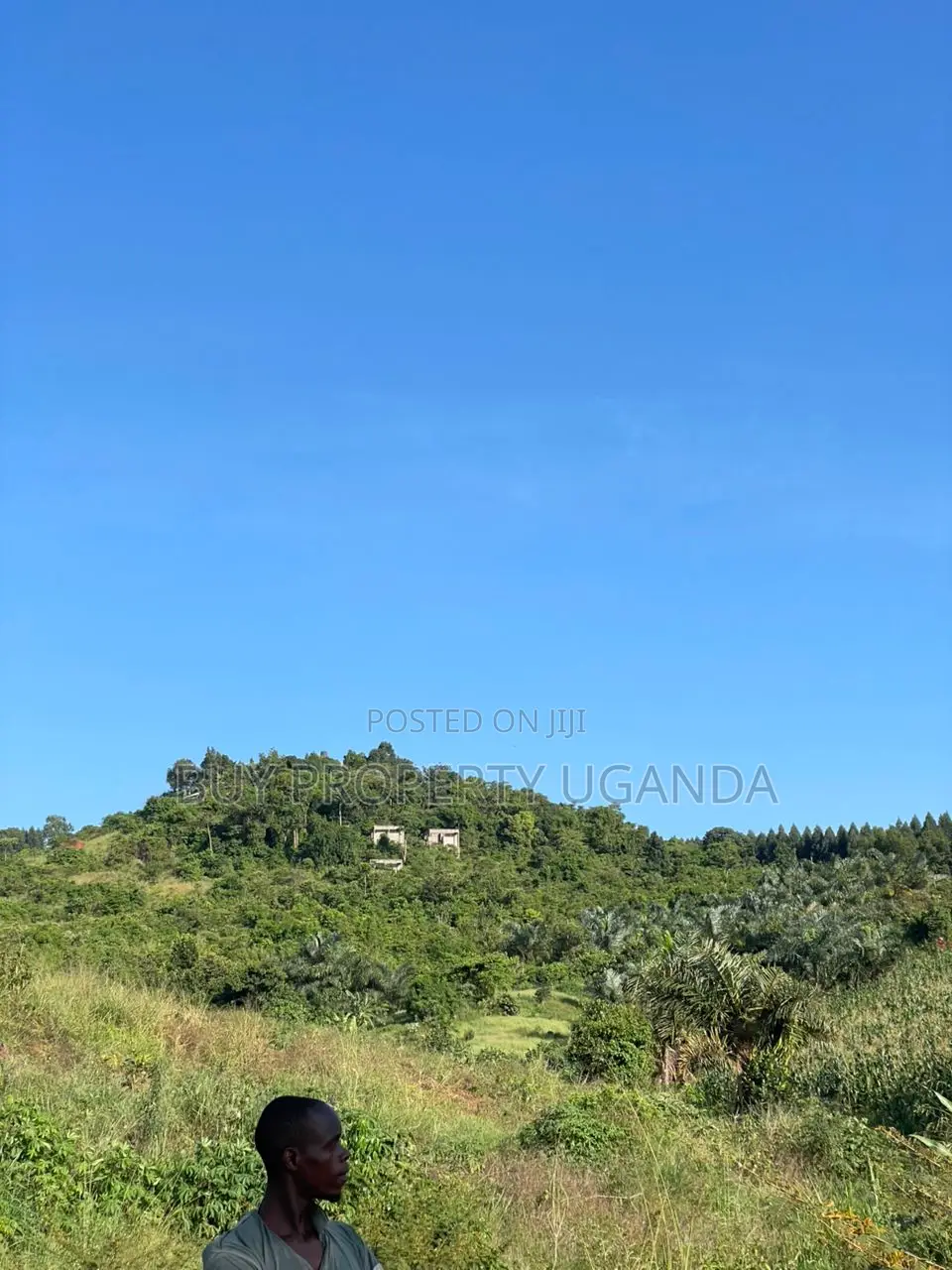 Selling 8 Acres Of Land Near Akright Entebbe