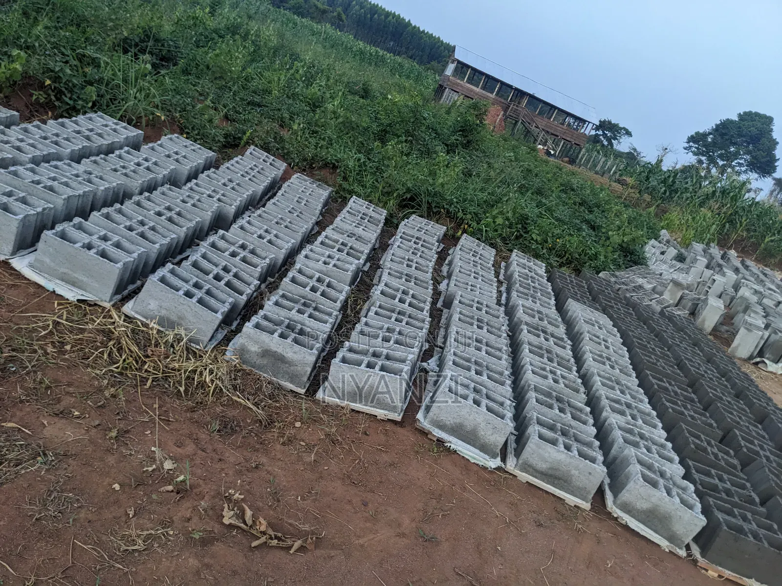 Doing Blocks at Site