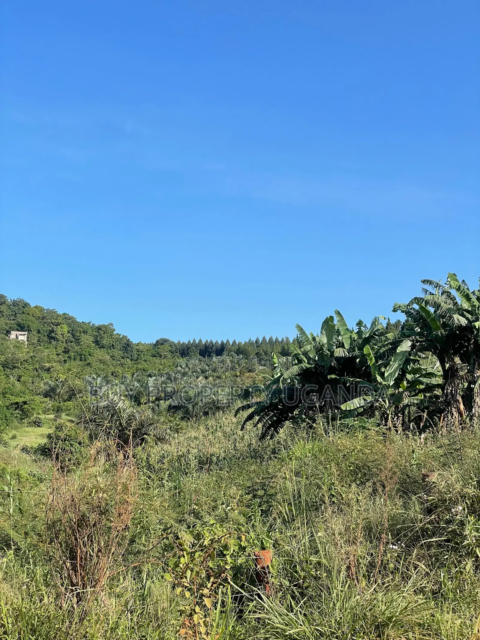 Selling 8 Acres Of Land Near Akright Entebbe