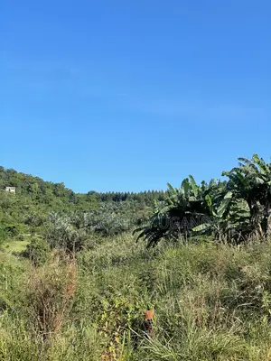 Selling 8 Acres Of Land Near Akright Entebbe