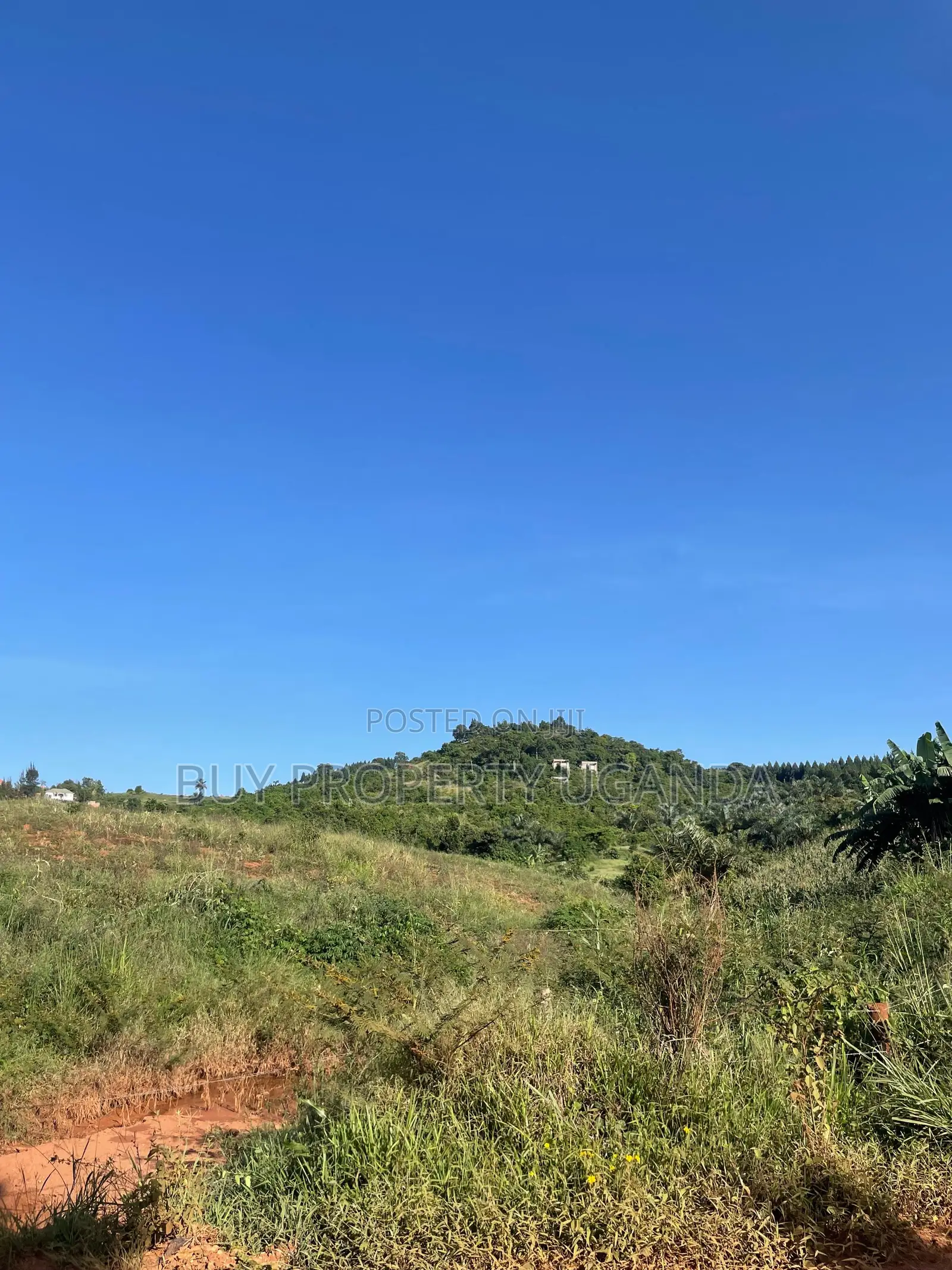 Selling 8 Acres Of Land Near Akright Entebbe