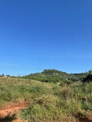 Selling 8 Acres Of Land Near Akright Entebbe