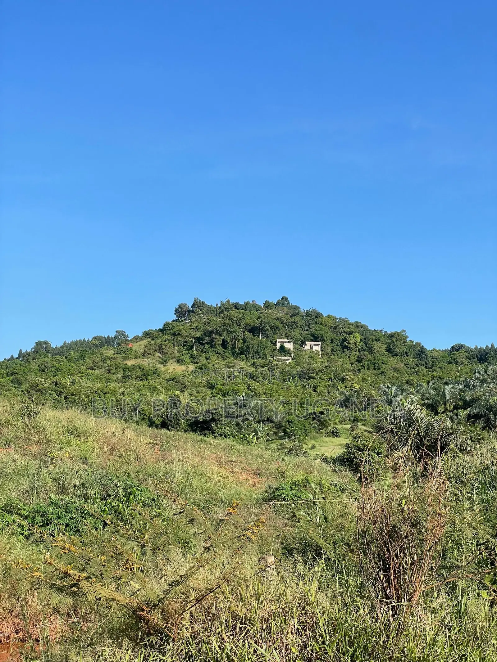 Selling 8 Acres Of Land Near Akright Entebbe