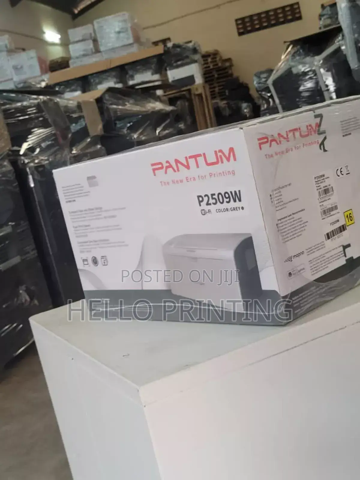 Pantum P2509w Business Document Laser