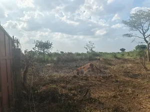 500acres of Land on Sale in Nakasongola