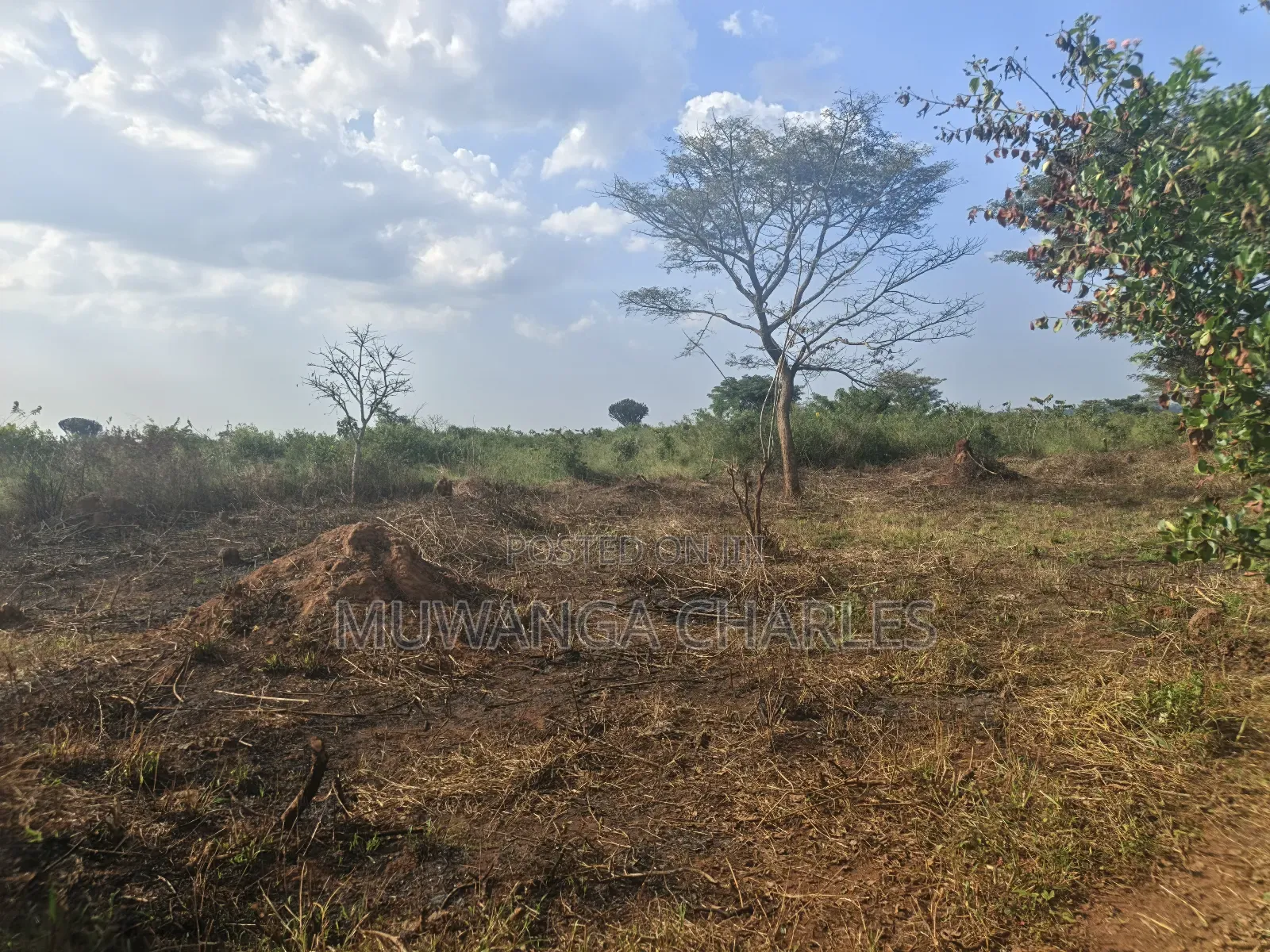500acres of Land on Sale in Nakasongola