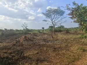 500acres of Land on Sale in Nakasongola
