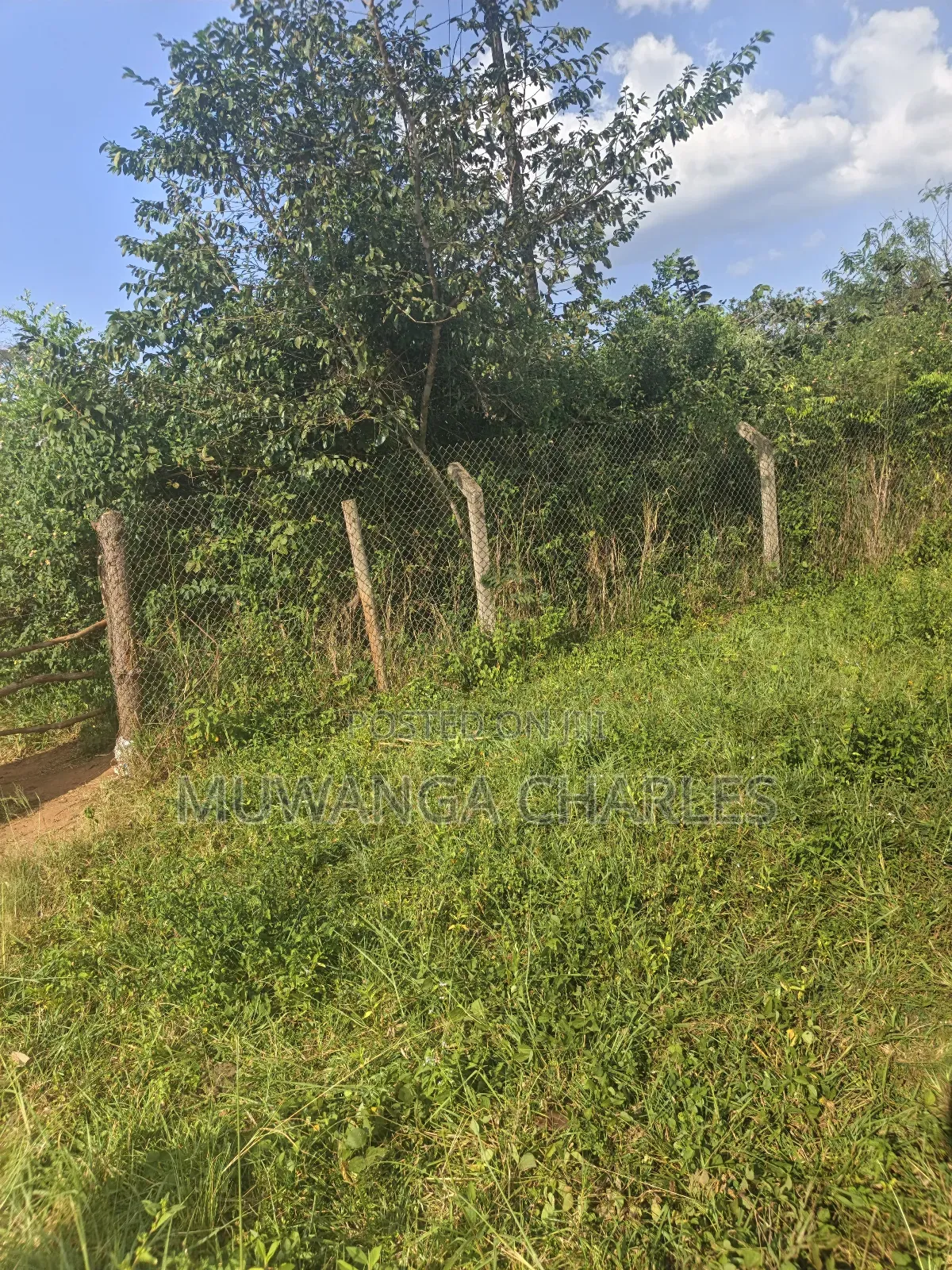 500acres of Land on Sale in Nakasongola