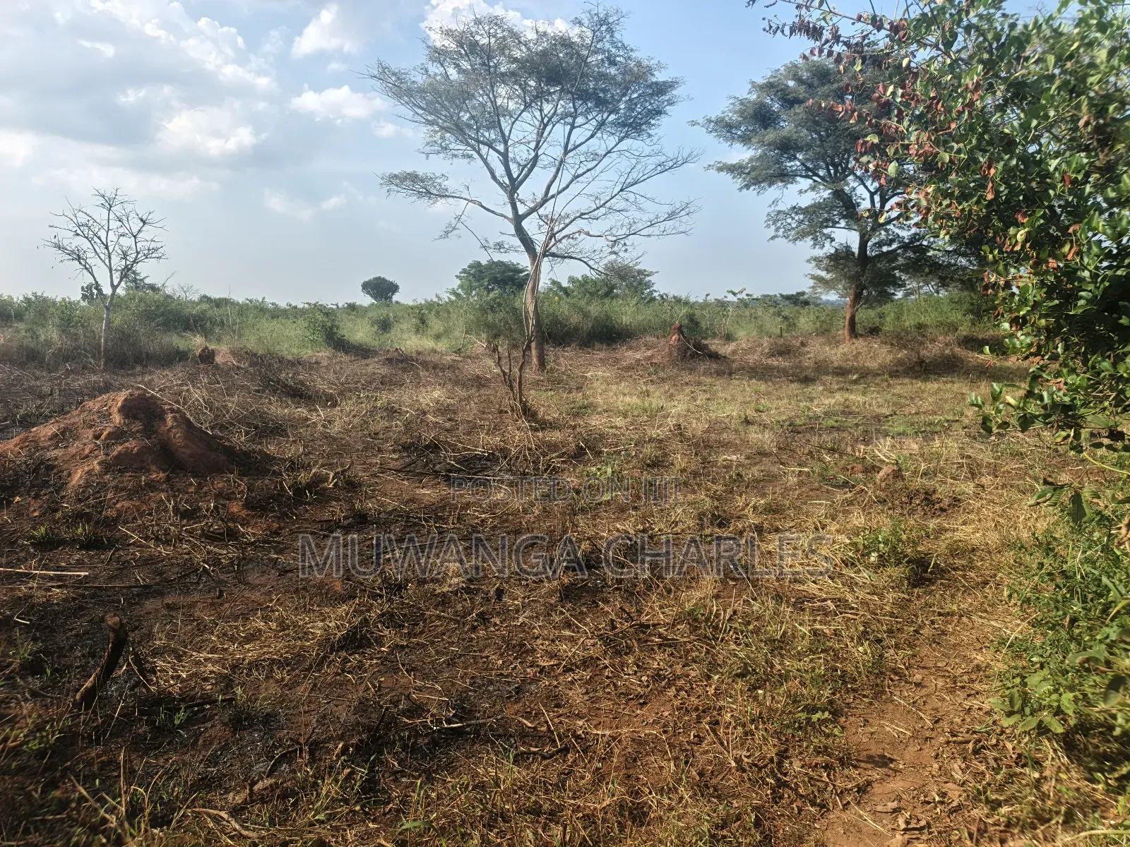 500acres of Land on Sale in Nakasongola