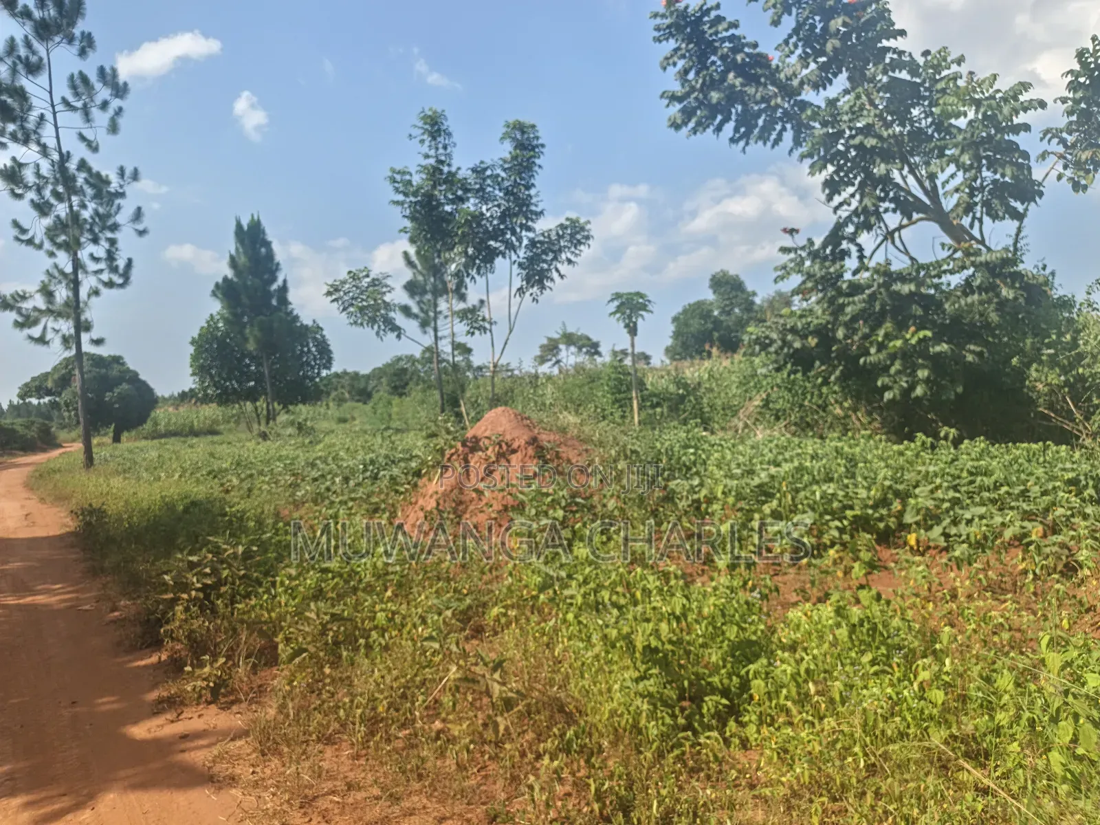 210acres of Land on Sale in Nakasongola Kakooge